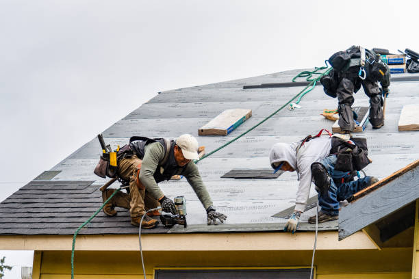 Professional Storm Damage Roof Repair technician working in Trenton, NJ